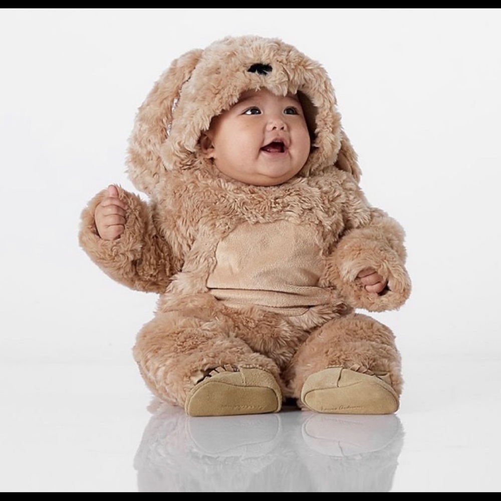 Pottery Barn Kids Dog Costume